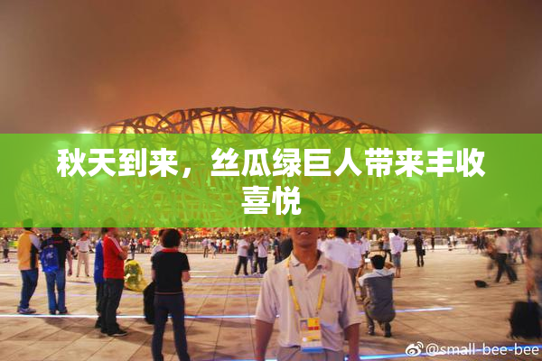 秋天到来，丝瓜绿巨人带来丰收喜悦
