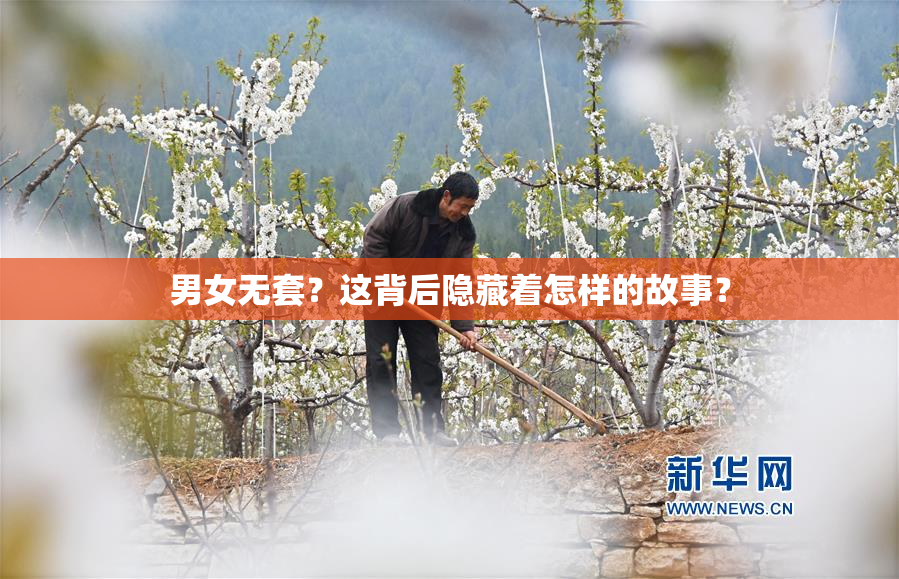 男女无套？这背后隐藏着怎样的故事？
