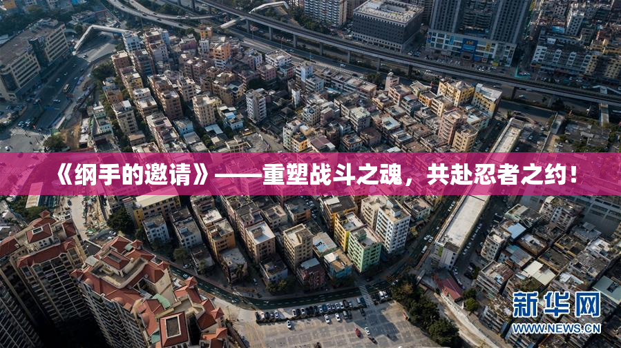 《纲手的邀请》——重塑战斗之魂，共赴忍者之约！
