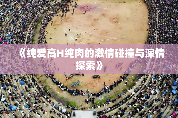 《纯爱高H纯肉的激情碰撞与深情探索》