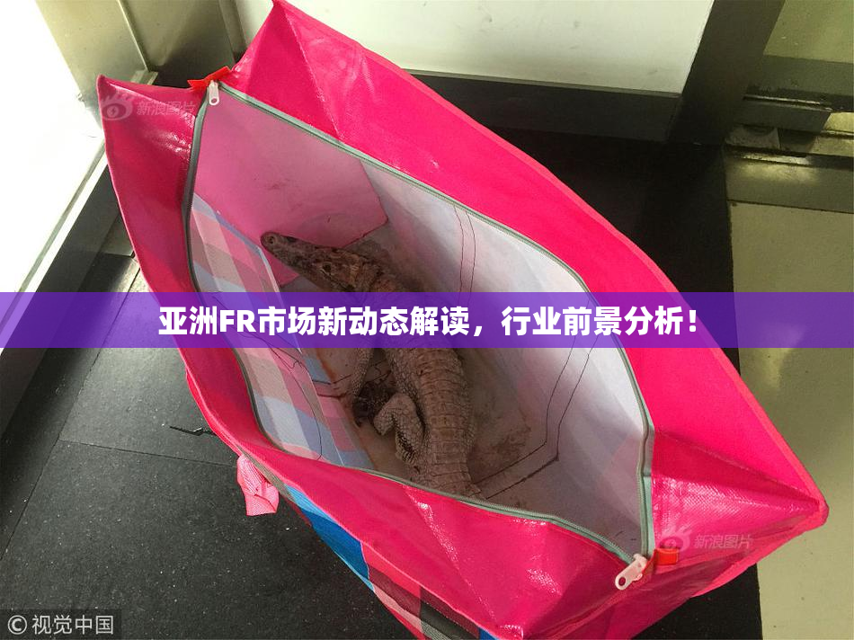 亚洲FR市场新动态解读，行业前景分析！