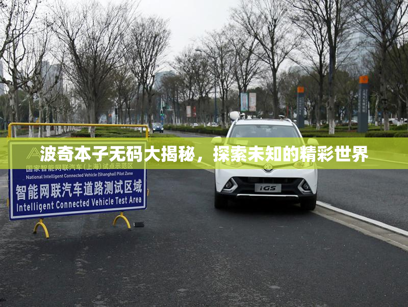 波奇本子无码大揭秘，探索未知的精彩世界