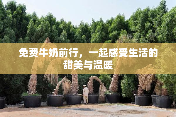 免费牛奶前行，一起感受生活的甜美与温暖