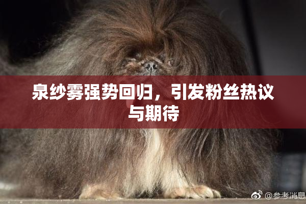 泉纱雾强势回归，引发粉丝热议与期待