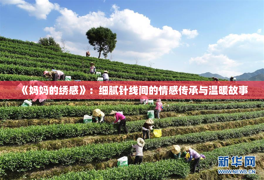 《妈妈的绣感》：细腻针线间的情感传承与温暖故事