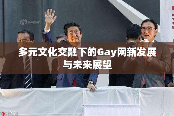 多元文化交融下的Gay网新发展与未来展望
