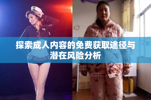 探索成人内容的免费获取途径与潜在风险分析