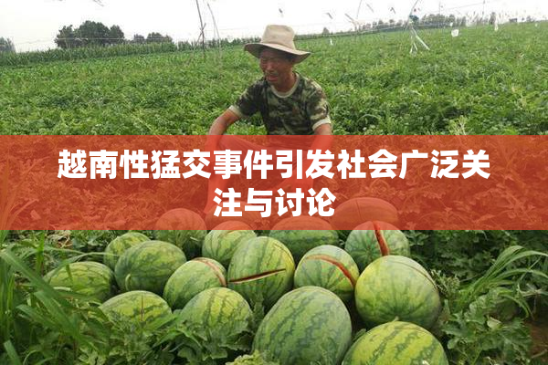 越南性猛交事件引发社会广泛关注与讨论