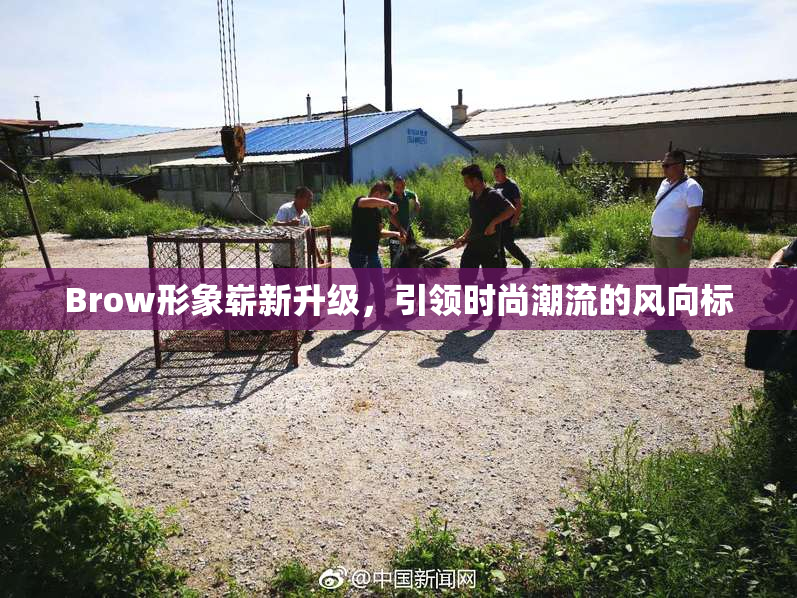 Brow形象崭新升级，引领时尚潮流的风向标