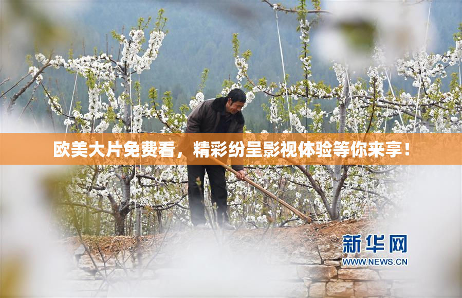 欧美大片免费看，精彩纷呈影视体验等你来享！