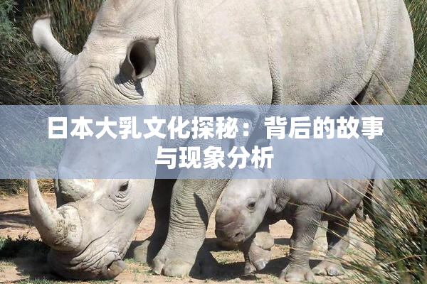 日本大乳文化探秘：背后的故事与现象分析