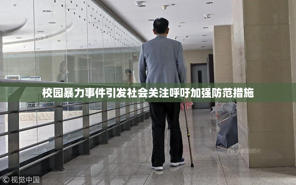 校园暴力事件引发社会关注呼吁加强防范措施