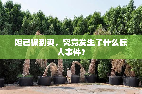 妲己被到爽，究竟发生了什么惊人事件？