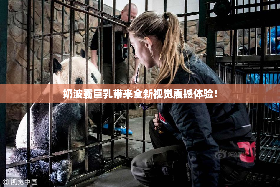 奶波霸巨乳带来全新视觉震撼体验！