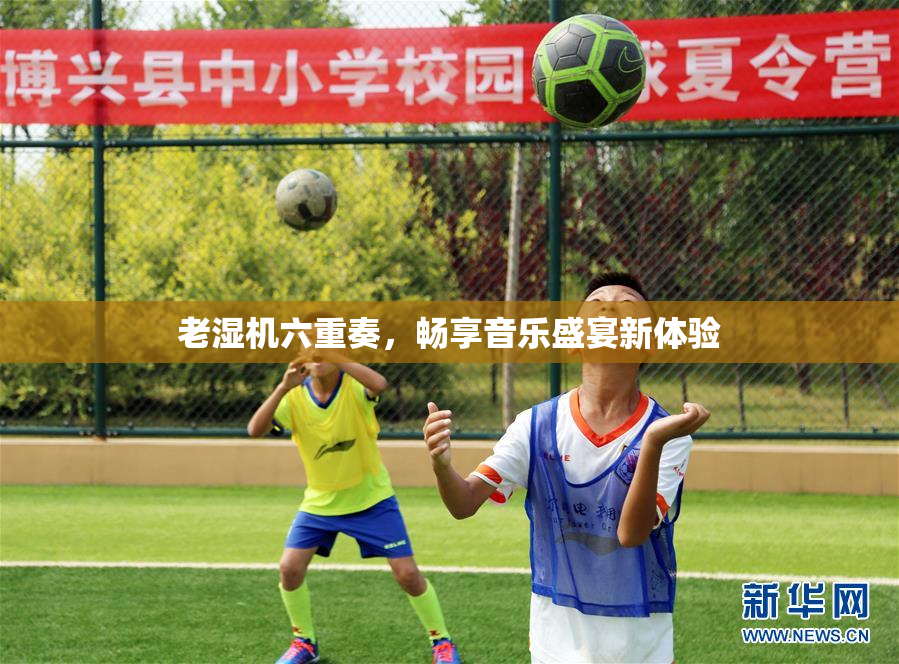 老湿机六重奏，畅享音乐盛宴新体验