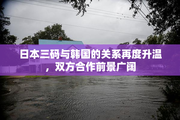 日本三码与韩国的关系再度升温，双方合作前景广阔
