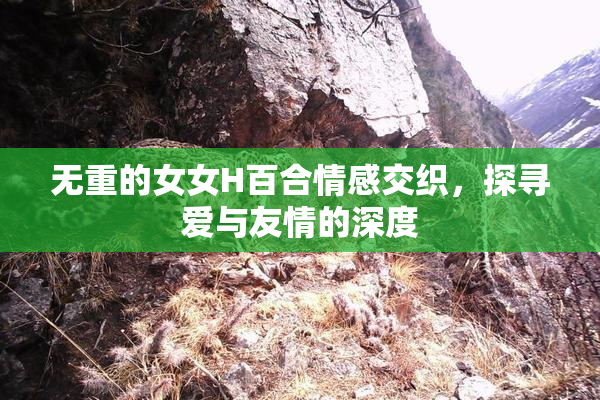 无重的女女H百合情感交织，探寻爱与友情的深度