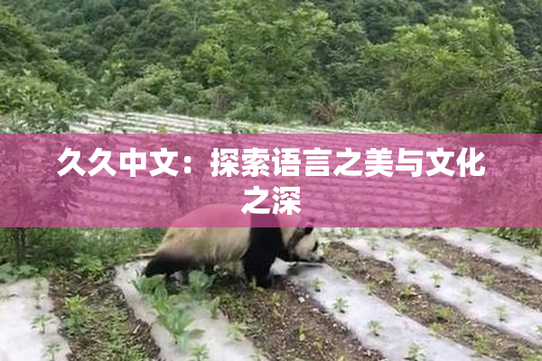 久久中文：探索语言之美与文化之深