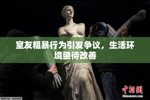 室友粗暴行为引发争议，生活环境亟待改善