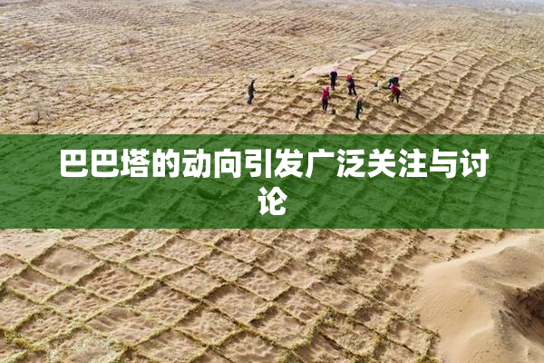 巴巴塔的动向引发广泛关注与讨论