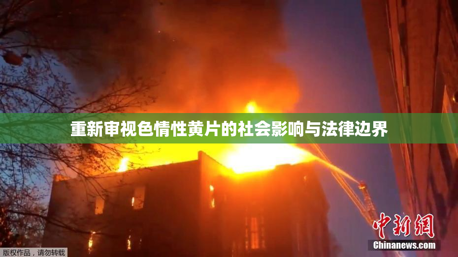 重新审视色情性黄片的社会影响与法律边界