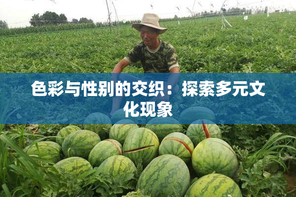色彩与性别的交织：探索多元文化现象