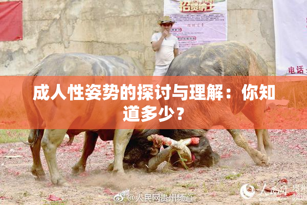 成人性姿势的探讨与理解：你知道多少？