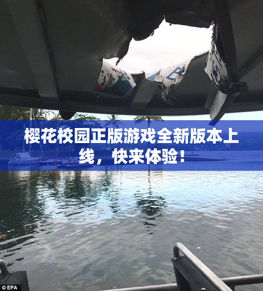 樱花校园正版游戏全新版本上线，快来体验！