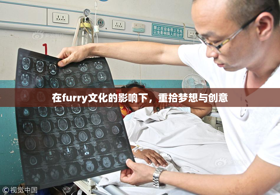 在furry文化的影响下，重拾梦想与创意