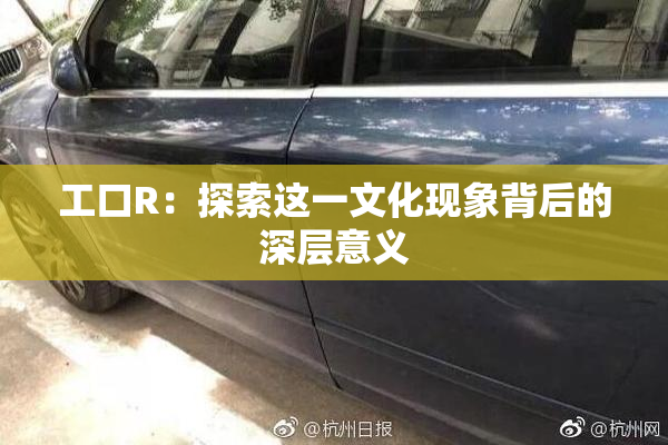 工口R：探索这一文化现象背后的深层意义
