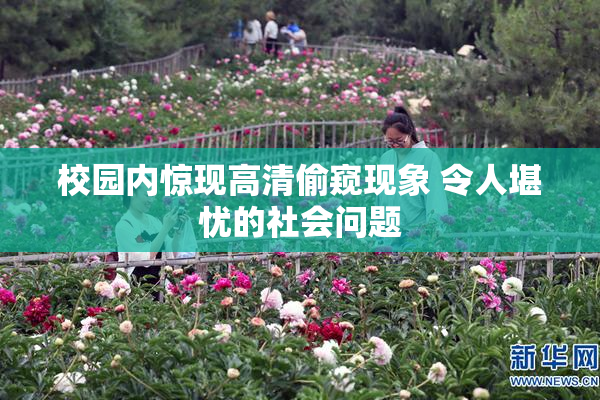 校园内惊现高清偷窥现象 令人堪忧的社会问题