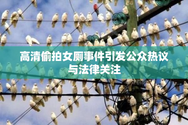 高清偷拍女厕事件引发公众热议与法律关注