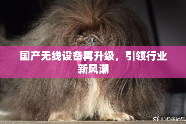 国产无线设备再升级，引领行业新风潮