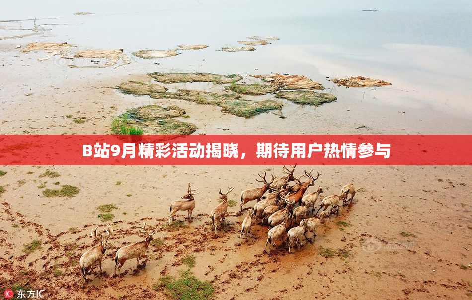 B站9月精彩活动揭晓，期待用户热情参与