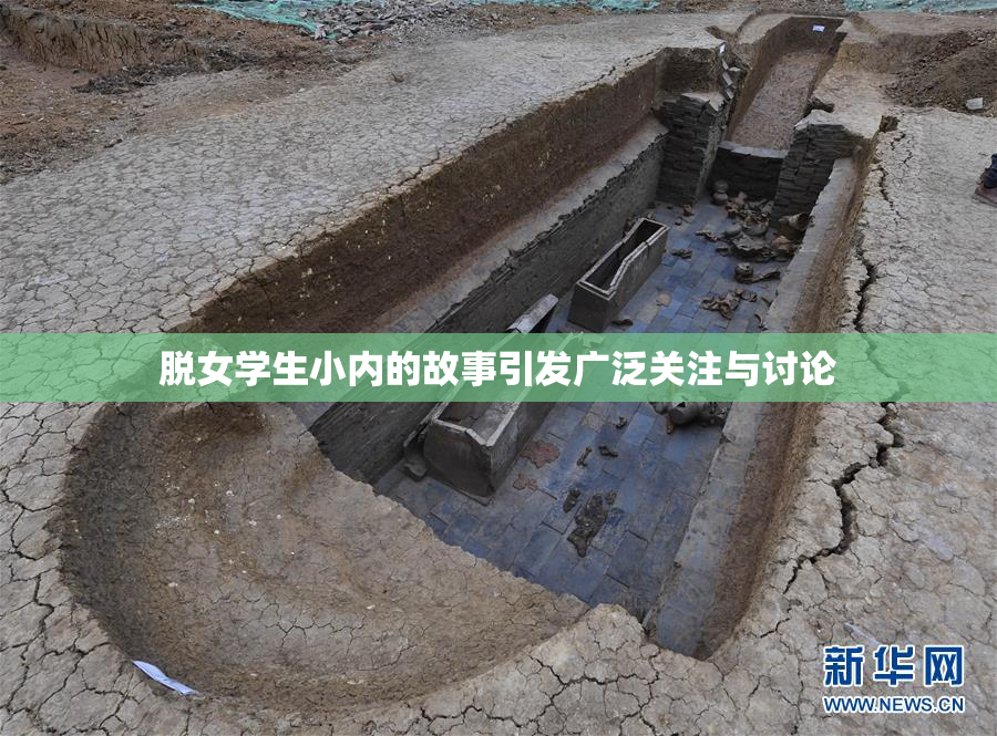 脱女学生小内的故事引发广泛关注与讨论