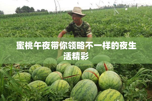 蜜桃午夜带你领略不一样的夜生活精彩