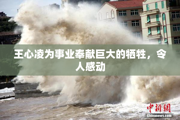 王心凌为事业奉献巨大的牺牲，令人感动