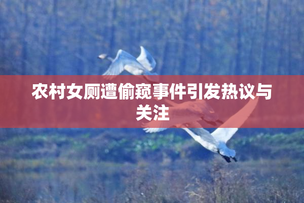 农村女厕遭偷窥事件引发热议与关注