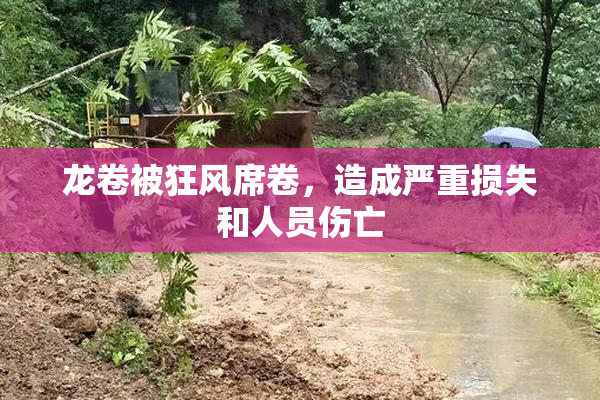 龙卷被狂风席卷，造成严重损失和人员伤亡