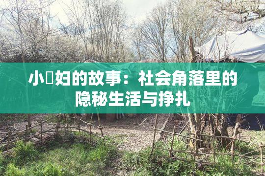 小婬妇的故事：社会角落里的隐秘生活与挣扎