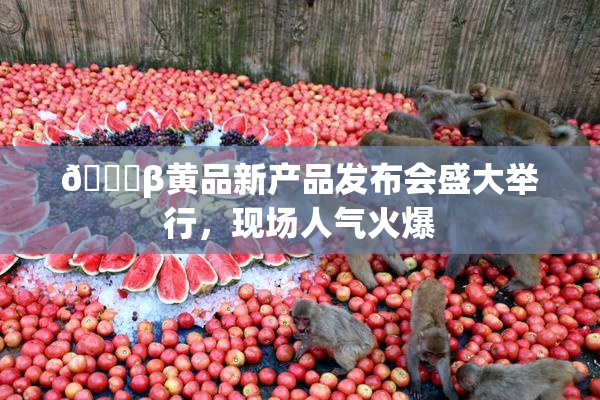 🔞β黄品新产品发布会盛大举行，现场人气火爆