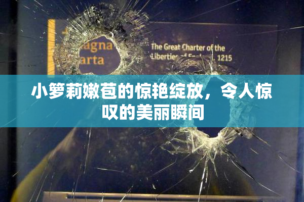 小箩莉嫩苞的惊艳绽放，令人惊叹的美丽瞬间