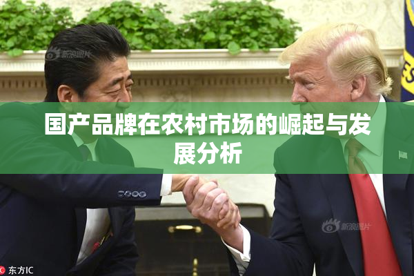 国产品牌在农村市场的崛起与发展分析