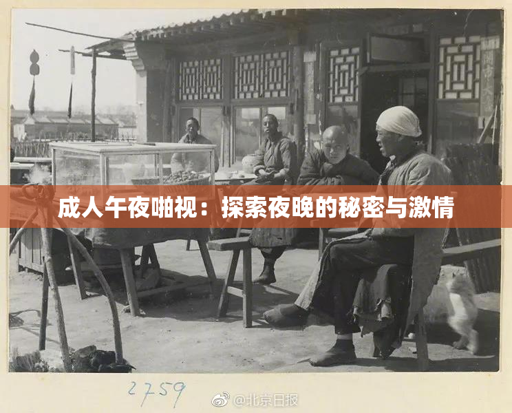 成人午夜啪视：探索夜晚的秘密与激情