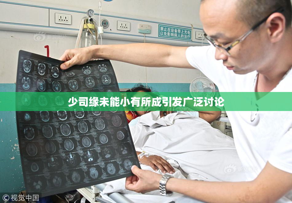 少司缘未能小有所成引发广泛讨论