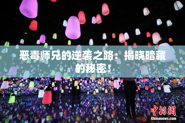 恶毒师兄的逆袭之路：揭晓暗藏的秘密！