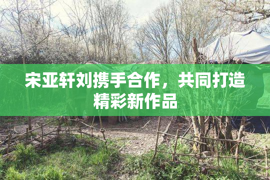 宋亚轩刘携手合作，共同打造精彩新作品