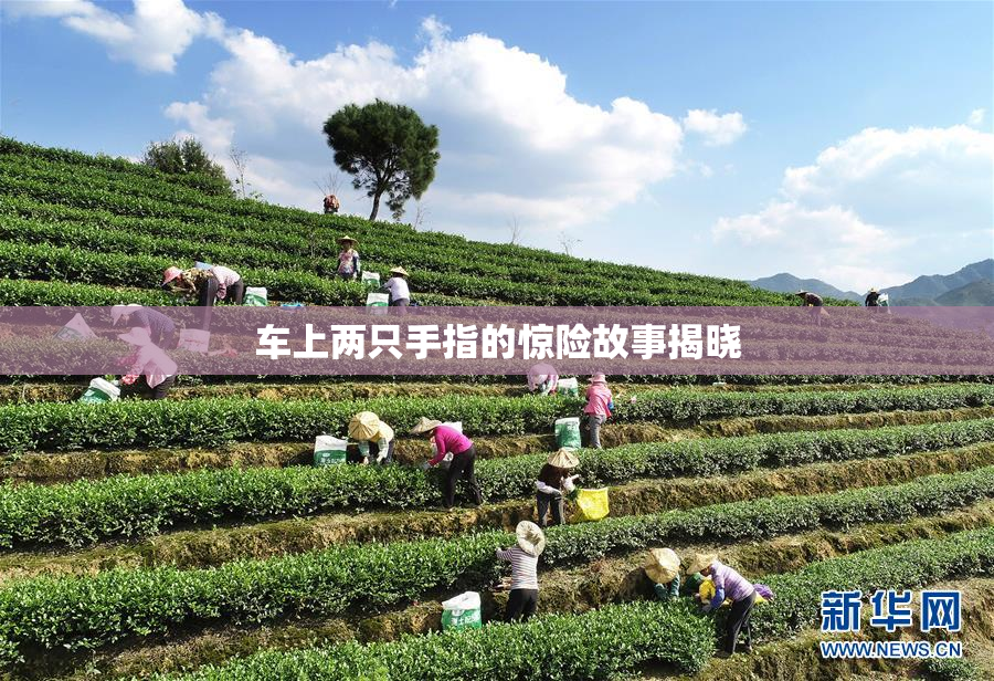 车上两只手指的惊险故事揭晓