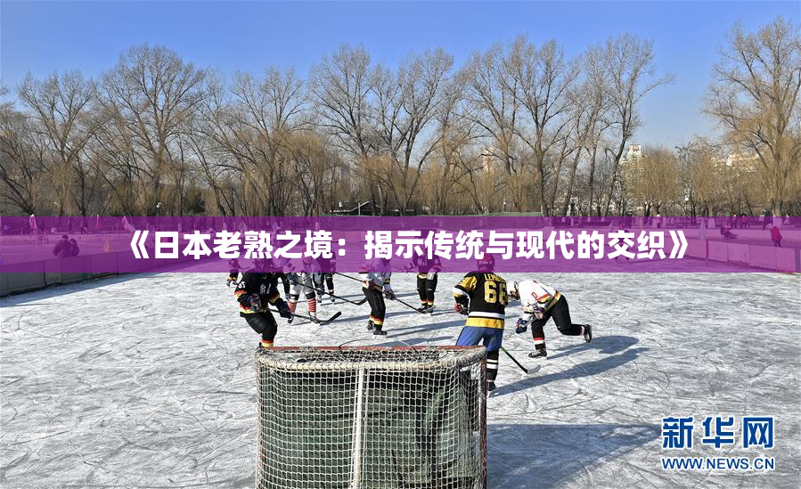 《日本老熟之境：揭示传统与现代的交织》
