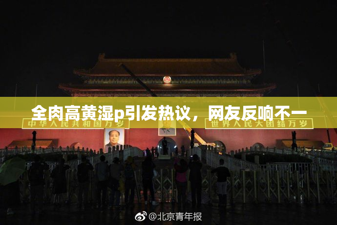 全肉高黄湿p引发热议，网友反响不一